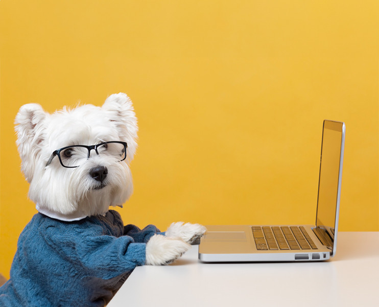 coordinacion_y_referencia